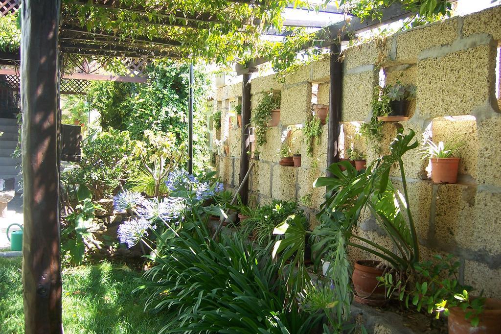 Casa Rural Anton Piche With Pool-Adults Only Granadilla De Abona Exterior foto