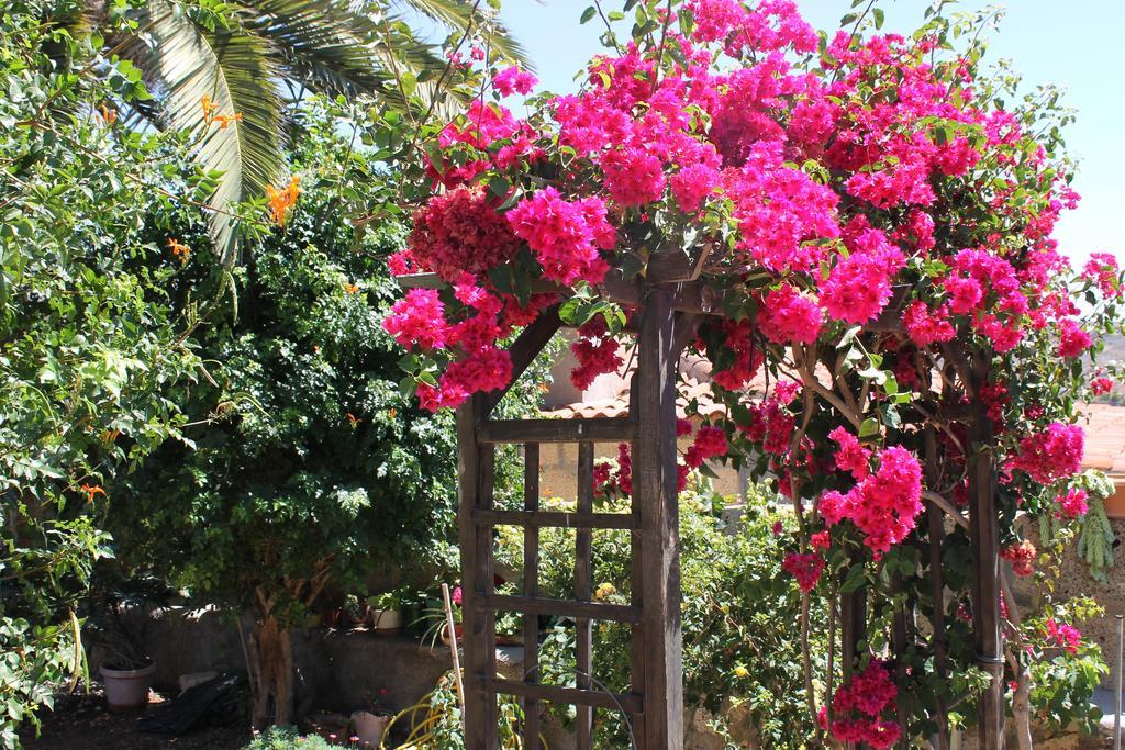 Casa Rural Anton Piche With Pool-Adults Only Granadilla De Abona Exterior foto