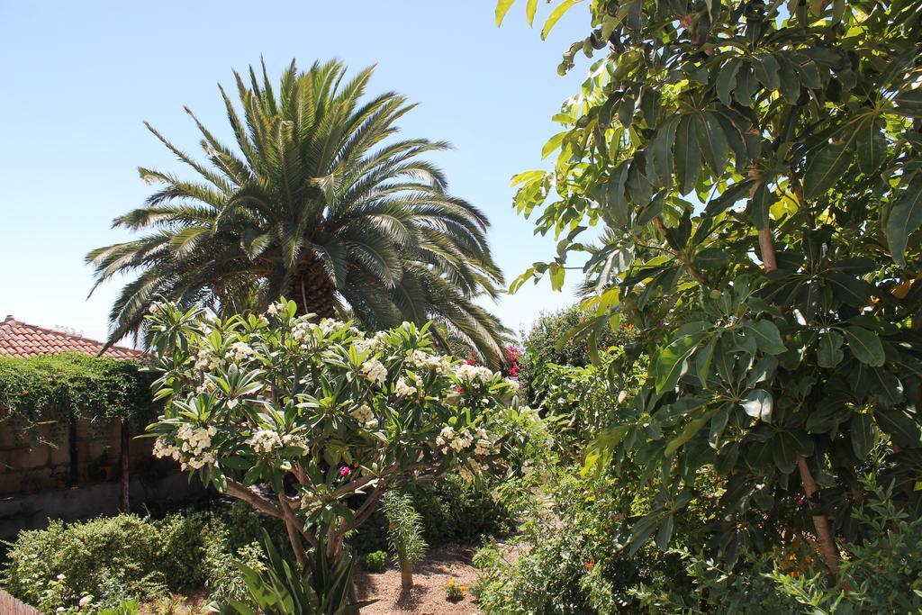 Casa Rural Anton Piche With Pool-Adults Only Granadilla De Abona Exterior foto